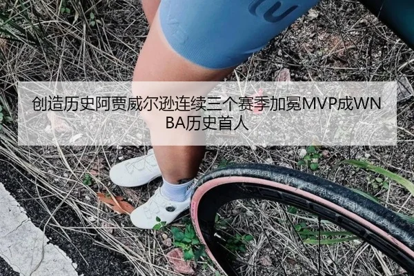 创造历史阿贾威尔逊连续三个赛季加冕MVP成WNBA历史首人